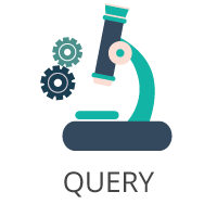 Search Service